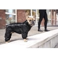 thumbnail image 3 of Canada Pooch Slush Suit Water-Resistant Dog Bodysuit (Black, 16 (15-17" back length)), 3 of 4