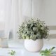 thumbnail image 1 of Desktop Decoration Simulation Potted Decoration Small Artificial Plants Suitable For Living Room Countertops Windowsills Desktop Decoration, 1 of 5