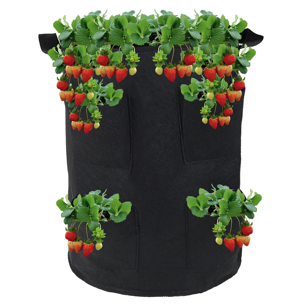 ODOMY Grow Bag, Strawberry Plant Bag with 8 Side Planting Pockets