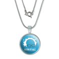 thumbnail image 1 of Bern It All Bernie Sanders Burning Democrat 0.75" Pendant with Sterling Silver Plated Chain, 1 of 3