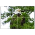 thumbnail image 1 of Picture-Tiles.com: Bird Ceramic Tile Wall Mural WAL500215-64XL. 72"W x 48"H using (24) 12" x 12" Ceramic Tiles-Satin Finish, 1 of 3