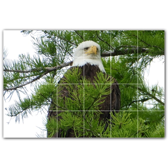 Picture-Tiles.com: Bird Ceramic Tile Wall Mural WAL500215-64XL. 72"W x 48"H using (24) 12" x 12" Ceramic Tiles-Satin Finish
