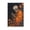 Unframe, variant on Larbulse Skeleton Lama Canvas Wall Art Home Decor Poster Vintage Funny Print Picture Abstract Bedroom Living Room Kitchen Posters Decor