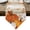 Orange, variant on Burnt Orange Fall Pumpkin Table Runner Linen Burlap Table Runner 60 Inches Long Thanksgiving Maple Leaves Botanical Dresser Scarves for Kitchen Island Coffee Dining Room Party Holiday Decor 13"x60"