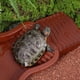 thumbnail image 4 of Tazón de hidratación para reptiles, de acero inoxidable, fácil de montar y desmontar, gran capacidad, para tortugas y serpientes, bebedero para mascotas, material duradero de grado, 4 of 9