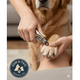 thumbnail image 3 of Stainless Steel Dog Nail Trimmer Non-Dulling Blade Grooming Claw Care Supplies, 3 of 6