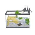 thumbnail image 2 of Yosoo Reptiles Floating Platform, Turtle Pier with Ramp Ladder, 2 of 9