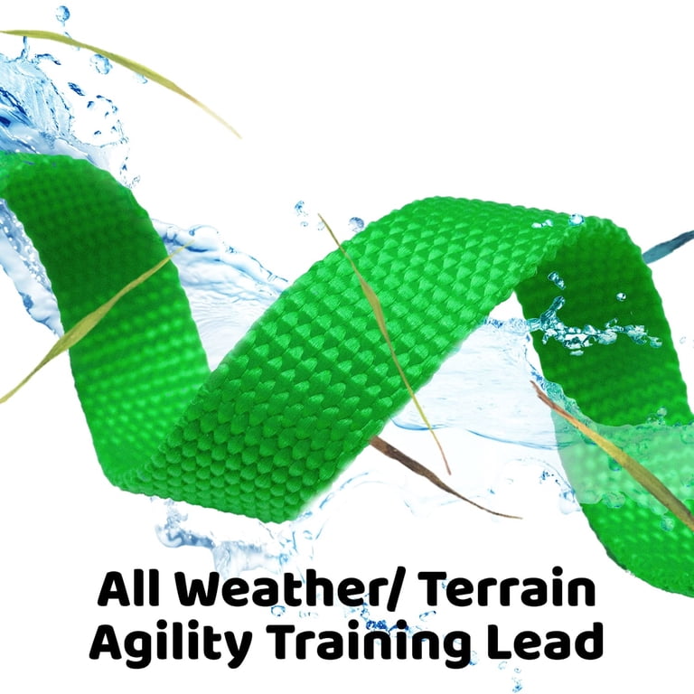 Downtown Pet Supply 20' Dog Training Lead, Green photo 4
