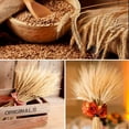 thumbnail image 5 of Gealach Wedding Décor, 100 Dried Wheat Bundles, 15.7" Natural Straw, Rustic Table Centerpieces, Home Kitchen Aesthetics, 5 of 7