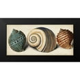 thumbnail image 2 of Vision Studio 18x10 Black Modern Framed Museum Art Print Titled - Shell Trio I, 2 of 5