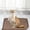 Coffee, variant on Dmlowu Washable Dog Bed for Crate, Portable Lightweight Dog Bed for Small Medium Size Dogs Cats, Summer Cooling Mat for Car Seat Floor Sofa