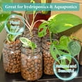 thumbnail image 3 of 15 LBS Organic Expanded Clay Pebbles, 4mm -16mm Light Expanded Clay Aggregate, Natural Clay Pebbles for Hydroponic & Aquaponics Growing, Orchid Potting Mix, Dutch Buckets, Drainage, 3 of 7