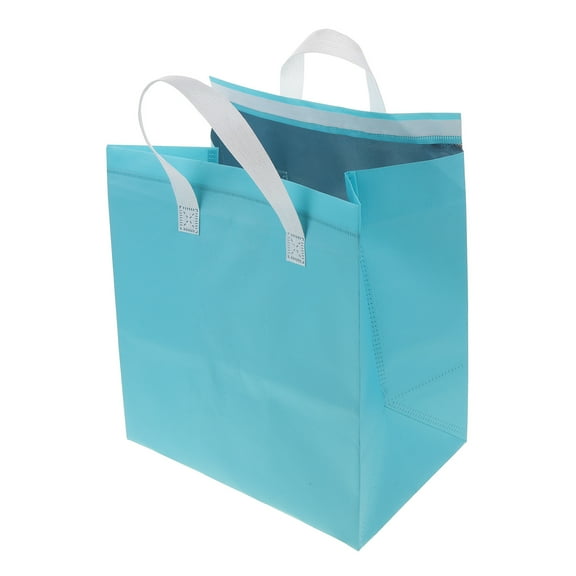 HOMEMAXS Insulated Food Container Ice Cream Insulation Bag