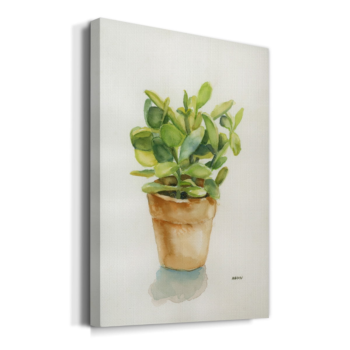 Succulent I Premium Gallery Wrapped Canvas - Ready to Hang