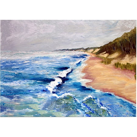 Trademark Fine Art Michelle Calkins Lake Michigan Beach with Whitecaps I Michelle Calkins Canvas Wall Art - 18x24