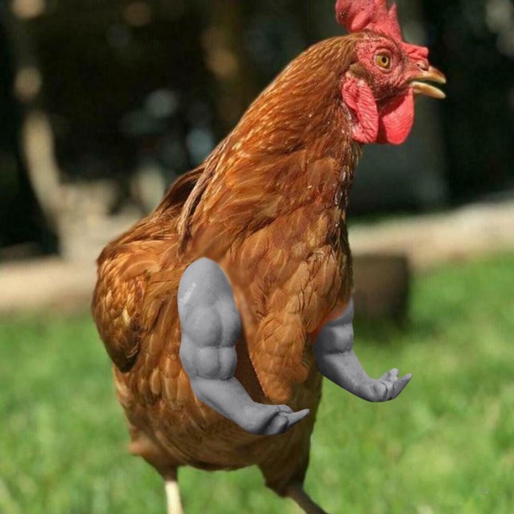 Max 78 OFF 2021 Muscle Chicken Hulk Arms For Chickens To Wear