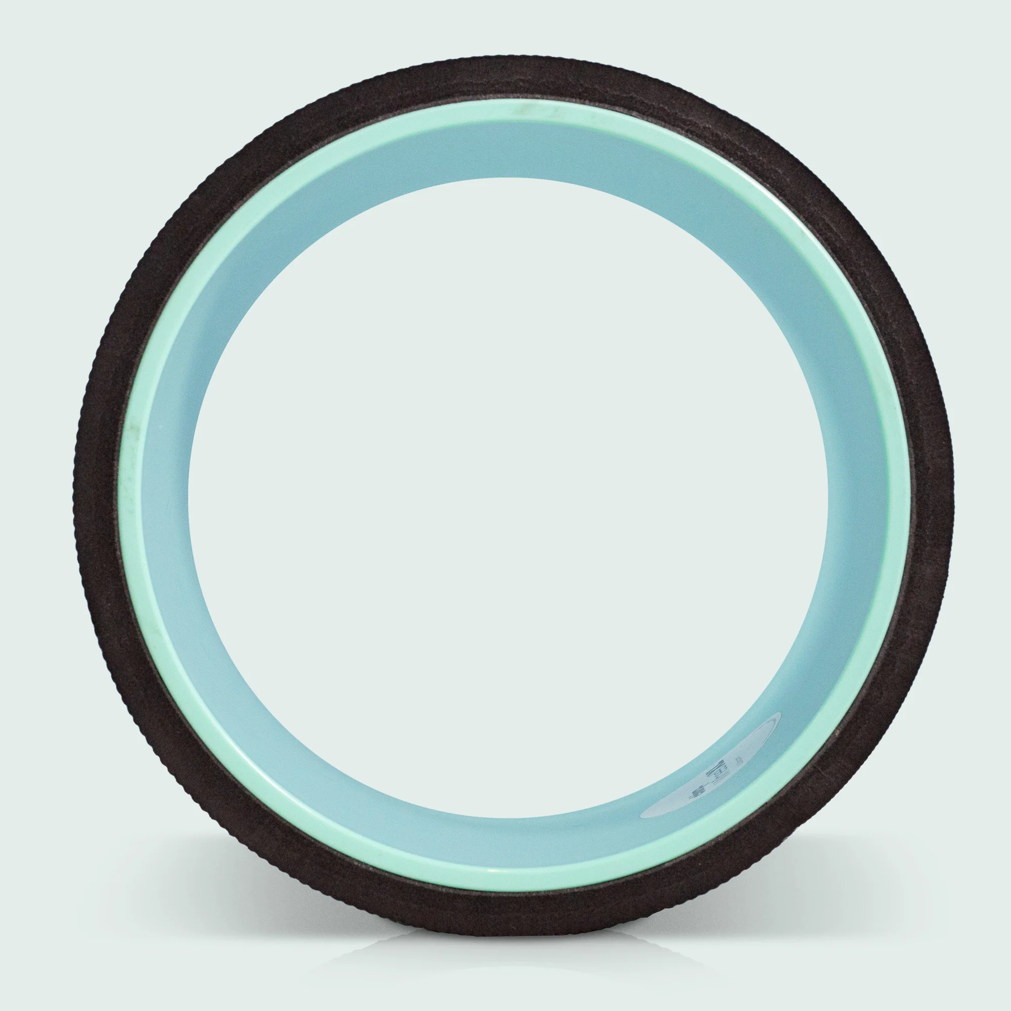 Chirp Wheel XL - 10" - DTC