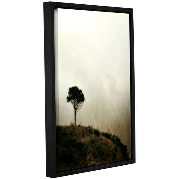 ArtWall Kevin Calkins "Pomontory Point" Gallery-Wrapped Floater-Framed Canvas