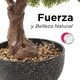 thumbnail image 4 of Bonsai Artificial 50cm Planta de Decoración, 4 of 6