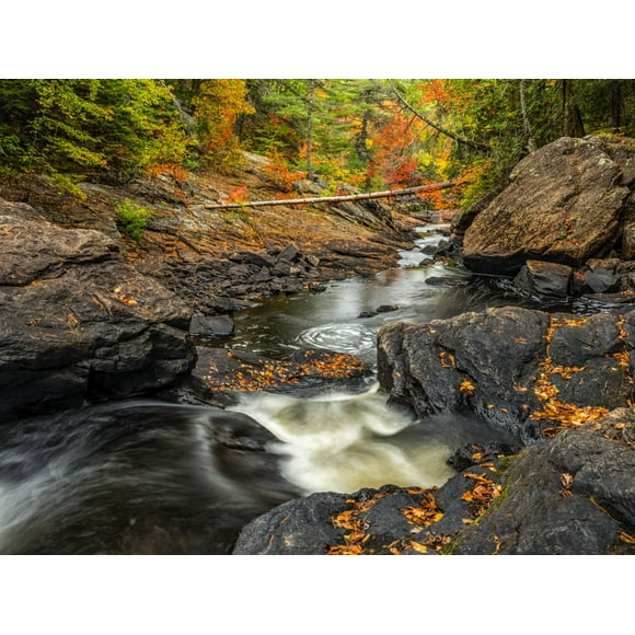 Water from the York River flowing over waterfalls during autumn in Algonquin Provincial Park; Ontario, Canada Poster Print by Robert Postma (34 x 26) # 13380986