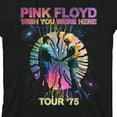 thumbnail image 2 of Pink Floyd Wish You Were Here Prism Graphic Crew Neck Short Sleeve Youth Black T-shirt-XL, 2 of 6
