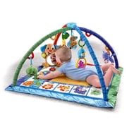 Fisher Price Songs & Smiles Discovery Gym