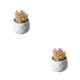 thumbnail image 2 of Simulación suculenta Advancent artificial Bonsai Flor falsa para sala de estar, 2 of 6