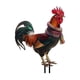 thumbnail image 4 of Xihbxyly Adorno Navideño con Forma de Gallina y Sombrero, con Enchufe de Tierra, Diseño Festivo Colorido, Multifuncional, para Uso En Interiores y Exteriores, Artesanía Exquisita, Tamaño 23 X 31 Cm., 4 of 4