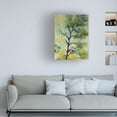thumbnail image 2 of Trademark Fine Art Marion Rose Pine Abstract Canvas Wall Art - 14x19, 2 of 5