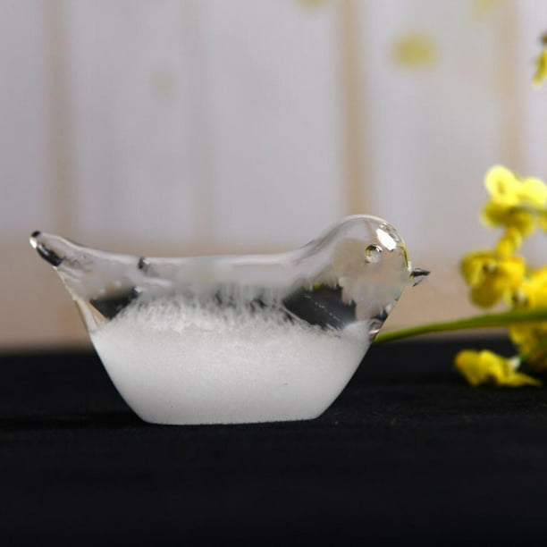 Snorda Glass Weather Forecaster Liquid Barometer Predictor Desktop