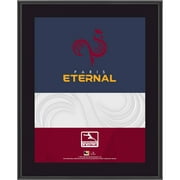 Paris Eternal 10.5" x 13" Overwatch League Sublimated Team Logo Plaque