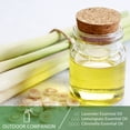 thumbnail image 5 of PHATOIL Citronella Essential Oils 100% Pure  for Diffusers, Humidifier, Aromatherapy Massage Bath Sleep Relaxation 30ml/1.01 fl.Oz, 5 of 8