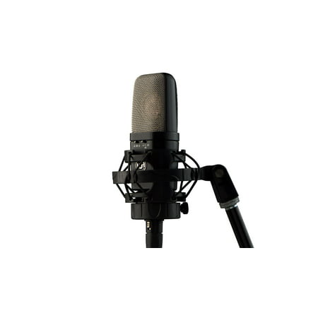 Warm Audio WA14 Studio Condenser Microphone w/ Shock Mount