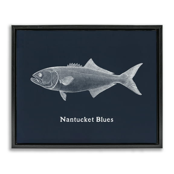 Stupell Industries Nantucket Blues Fish Animals Painting Black Floater Framed Canvas Art Print Wall Art, 21 x 17