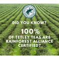 Tetley Decaffeinated Green Tea, 72 Count Tea Bags