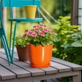 thumbnail image 7 of Ordivic Orange 6 inch Reactive Glaze Ceramic Pot, Saucer & Drainage Hole, Succulents Indoor Gift, 7 of 7