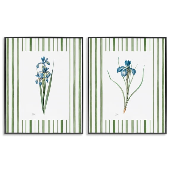 Stupell Industries Irises And Stripes 2 Piece Black Framed Giclee Art Set, design by Nan