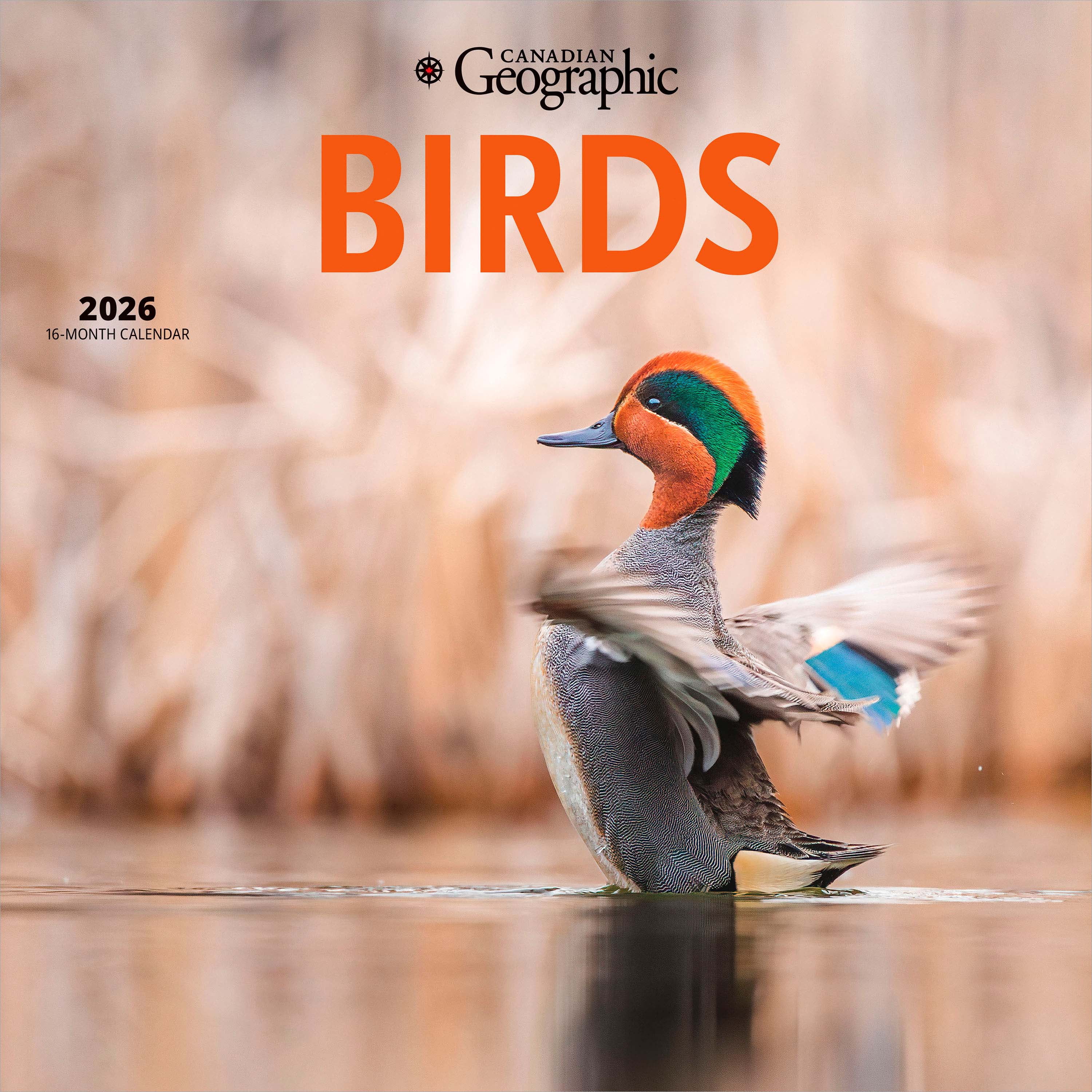 Canadian Geographic Birds 2026 Square Wyman FOIL