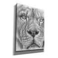 thumbnail image 2 of Epic Graffiti 'Up Close Lion' by Barbara Keith, Canvas Wall Art, 40"x54", 2 of 8