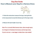 thumbnail image 4 of Newborn Brand Pet Step in Dog Harness - 100% Mesh Fabric Red Girl Dog Harnesses - Soft Fully Padded, No Pull Dog Vest Harness Dress for Small Medium Dogs, 4 of 10