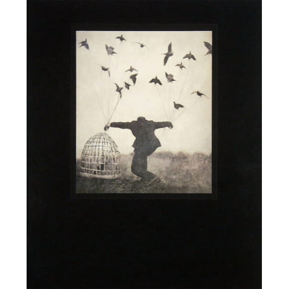 Robert and Shana Parkeharrison: The Architect's Brother (Hardcover)