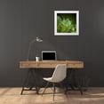 thumbnail image 3 of Maier, Norbert 20x20 White Modern Wood Framed Museum Art Print Titled - Morning Perls, 3 of 4