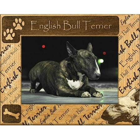 Giftworks Plus DBA0069 English Bull Terrier, Alder Wood Frame, 4 x 6 In