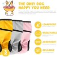 thumbnail image 2 of Pañales lavables para perros (paquete de 3), altamente absorbentes, Pañal para perros, Paquete de 3 pañales lavables para perros, Pañales reutilizables para perras (Gris Rosa Amarillo, XS), 2 of 5