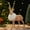 Brown-A, variant on zhmrfg Christmas Reindeer Plush Figurine Ornament with Antlers for Table Shelf Window Adds Elegant Holiday Charm Festive Ambience for Indoor Outdoor Home Office Seasonal Decor