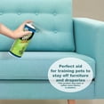 thumbnail image 4 of Four Paws Keep Off! Indoor and Outdoor Cat and Dog Repellent 10 oz., 4 of 7