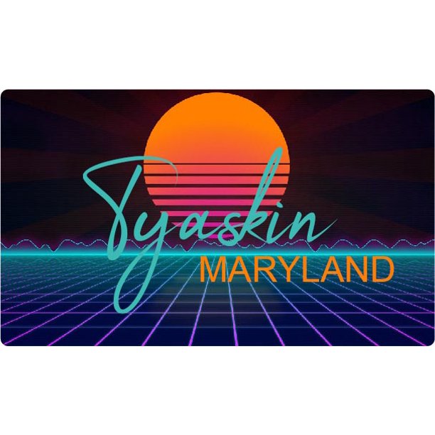 Tyaskin Maryland 4 X 2.25Inch Vinyl Decal Stiker Retro Neon Design
