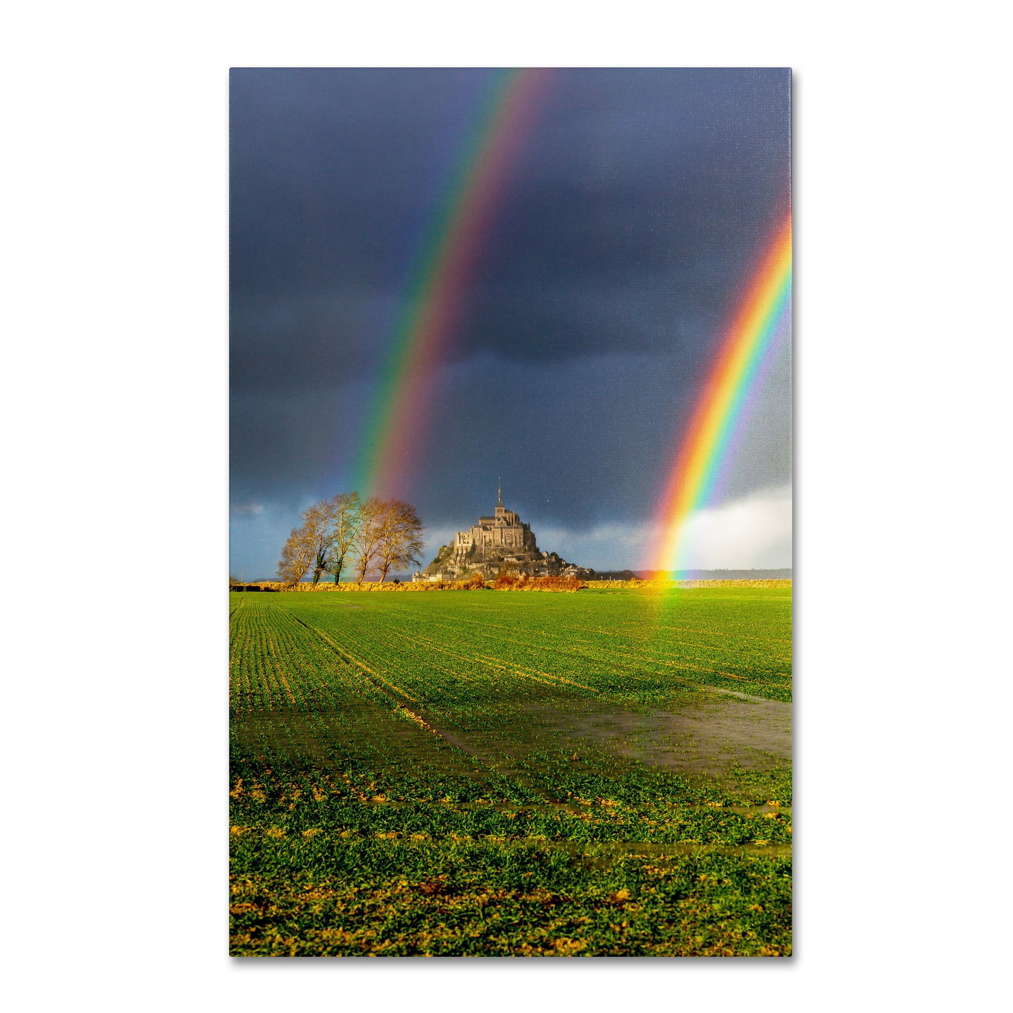 Trademark Fine Art "Double Rainbow" Canvas Art by Mathieu Rivrin