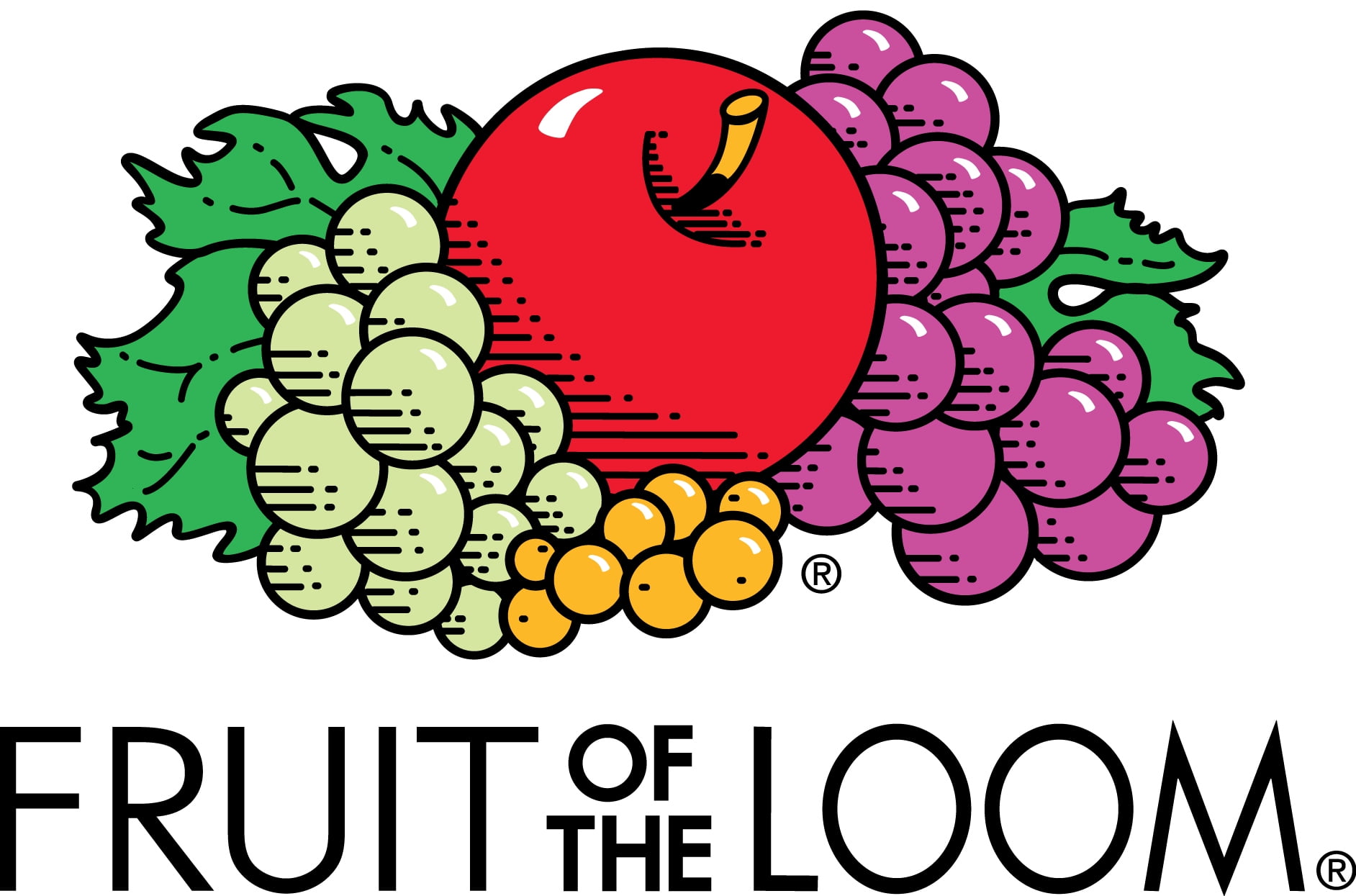 Fruit of the Loom Women's Heather Brief, 6 Pack