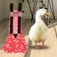 thumbnail image 4 of Pollo para Gallinas Mascota Ropa de Pollo Reutilizable Accesorios Ajustable con Pajarita para Aves de Corral, 4 of 4